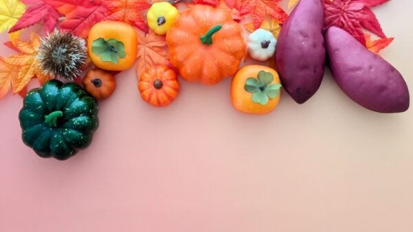 寒暖の差が激しく体調を崩しやすいこの季節におすすめの秋バテ対策