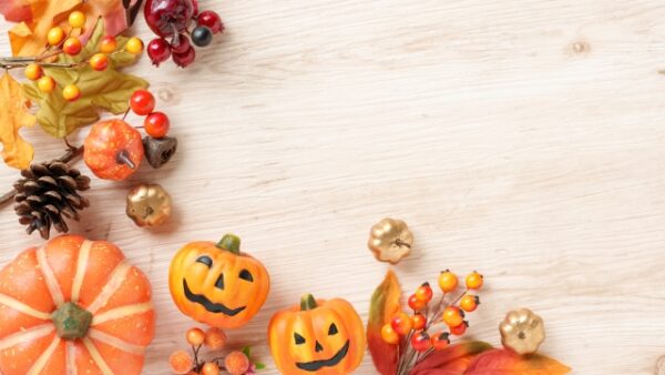 🍂【ハロウィンのかぼちゃと東洋医学】〜秋の養生とかぼちゃの秘密〜｜札幌市西区 八軒さきがけ鍼灸整体院