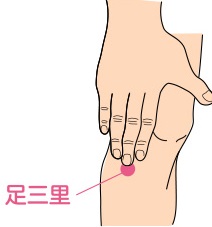 ツボの紹介「足三里」 - 八軒さきがけ鍼灸整骨院